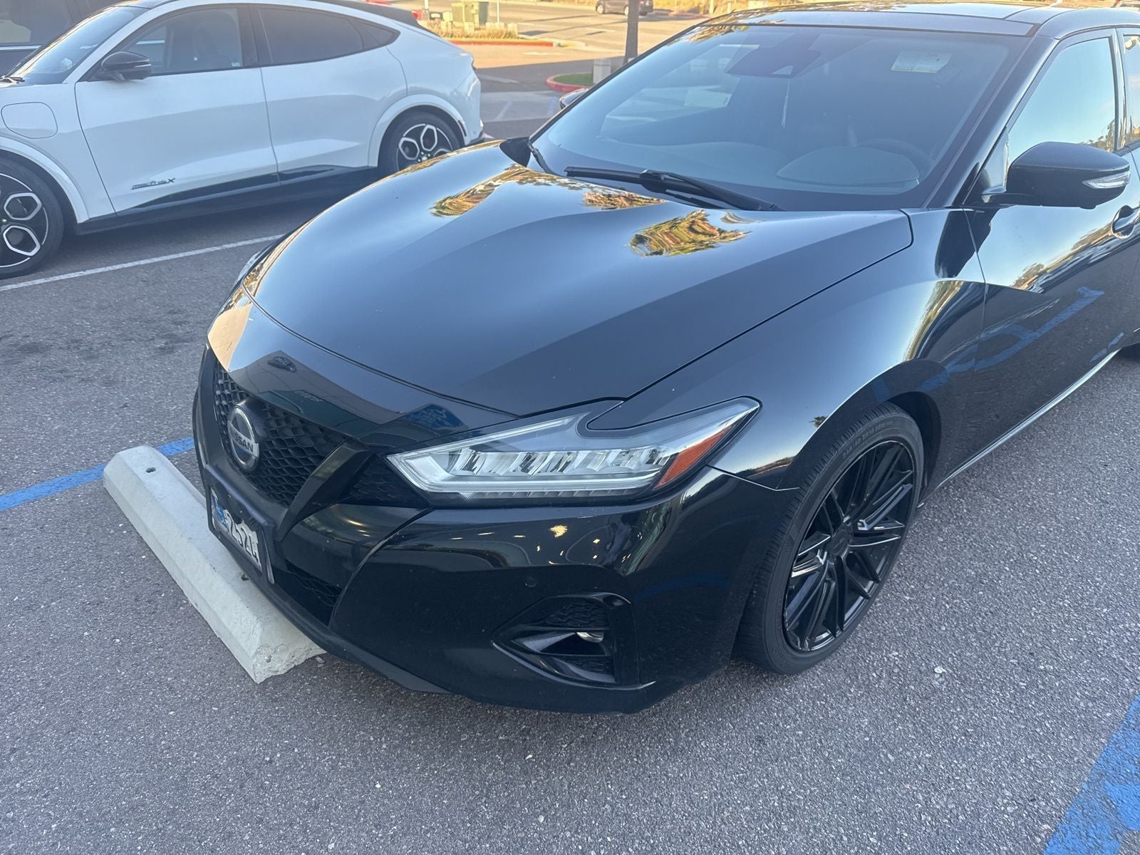 2019 Nissan Maxima SR Premium Pkg