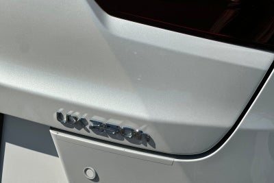 2024 Lexus UX 250h Base